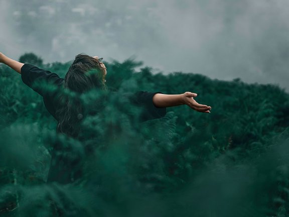 视频卡片文章一